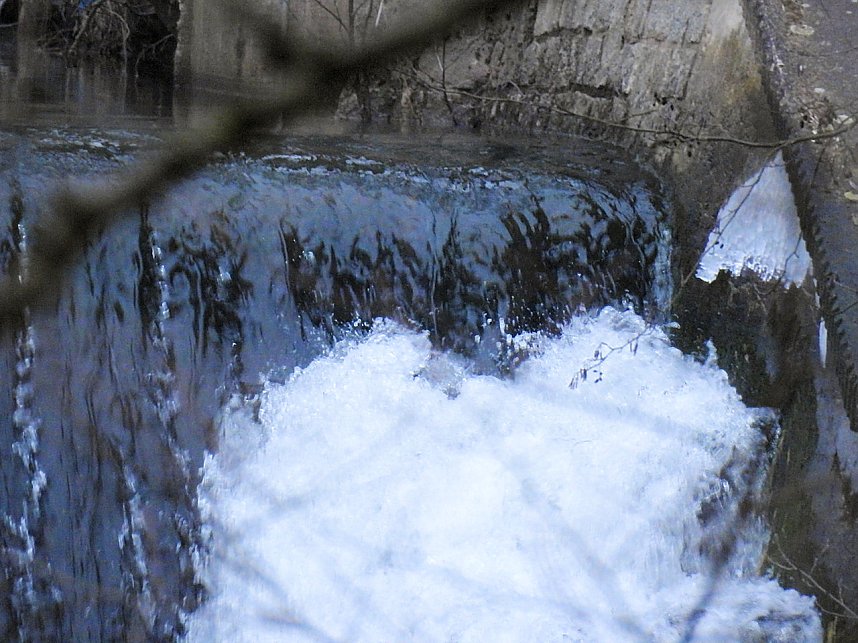 Interessanter Rundgang im Stadtpark