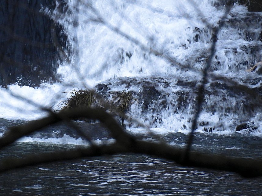 Interessanter Rundgang im Stadtpark