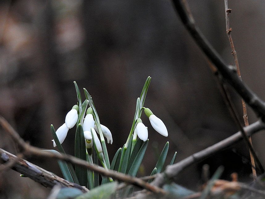 Interessanter Rundgang im Stadtpark