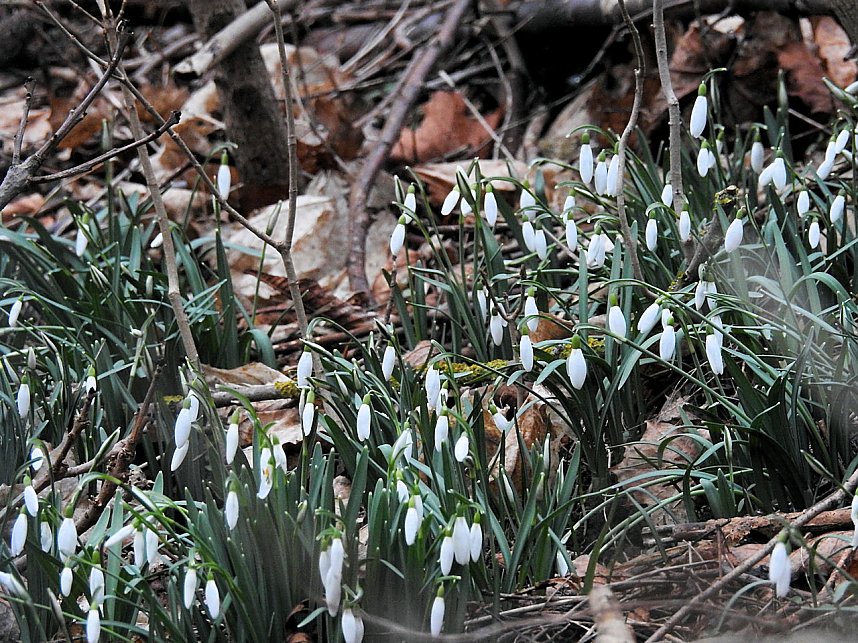 Interessanter Rundgang im Stadtpark