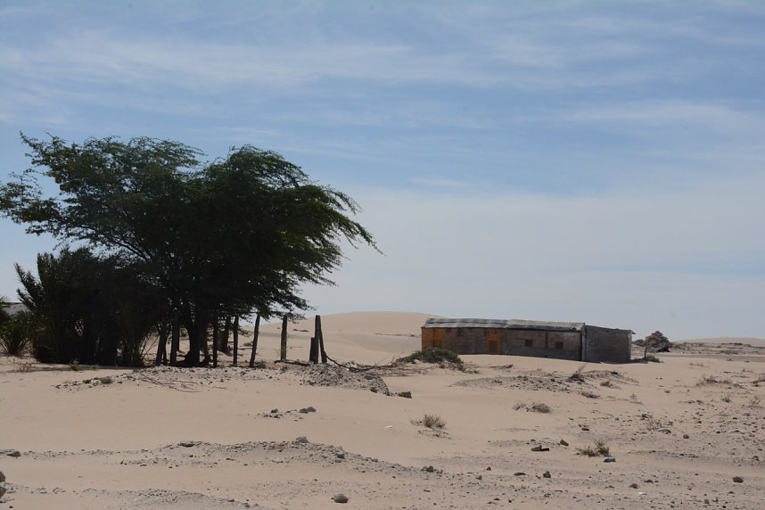 Von Nordhausen nach Gambia - die "Nordh&auml;user W&uuml;stenf&uuml;chse" unterwegs