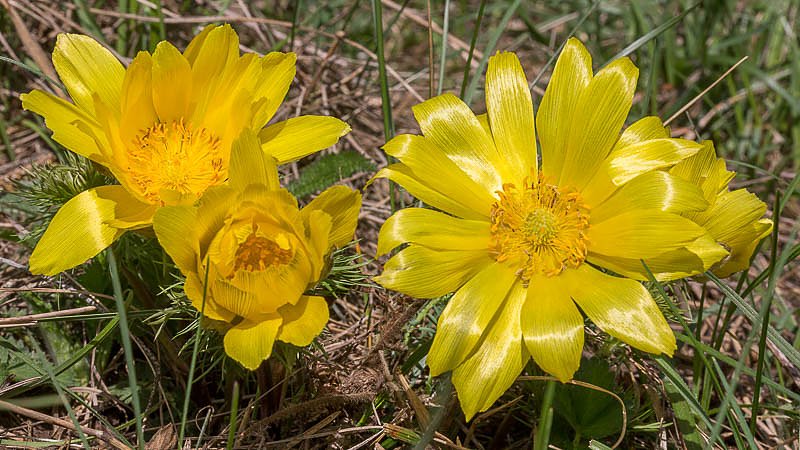 Fotoworkshop-Wochenende auf dem Karstwanderweg
