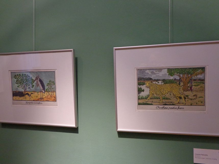 Grafikpreis zum 10. Mal verliehen