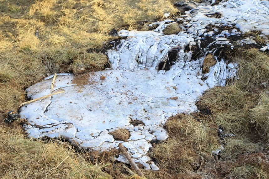 Es wird aufgrer&auml;umt