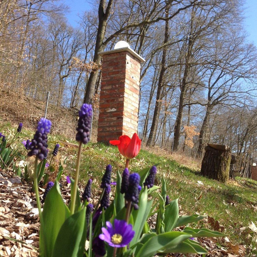 Ahornpark-Verein l&auml;dt ein