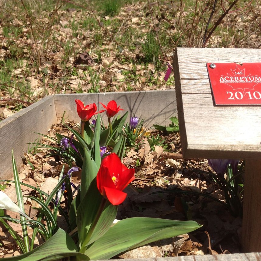 Ahornpark-Verein l&auml;dt ein