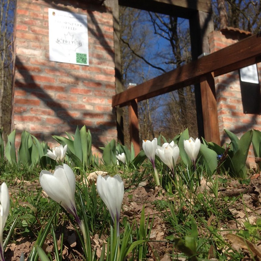 Ahornpark-Verein l&auml;dt ein