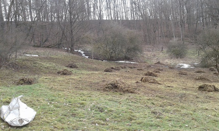 Mahd im Moor, BUND Nordhausen im Einsatz