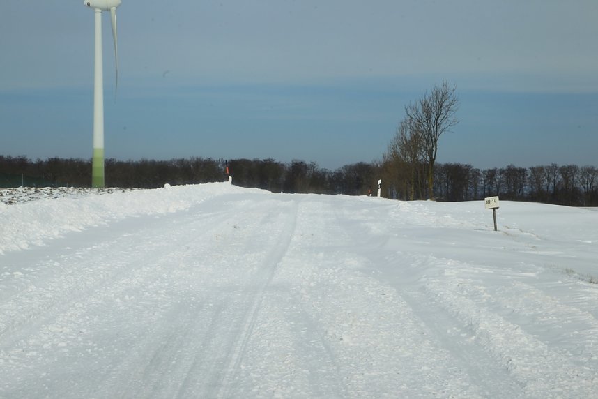 Und j&auml;hrlich gr&uuml;&szlig;t das Murmeltier!