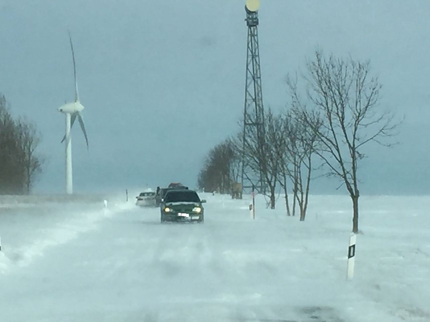 Und j&auml;hrlich gr&uuml;&szlig;t das Murmeltier!