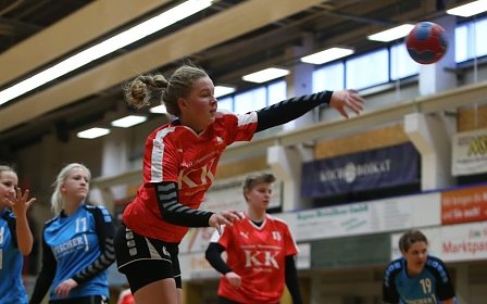 Bilder vom Handballwochenende