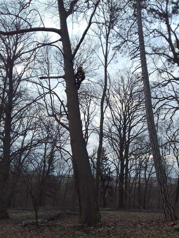 Auf die B&auml;ume - im Park Hohenrode