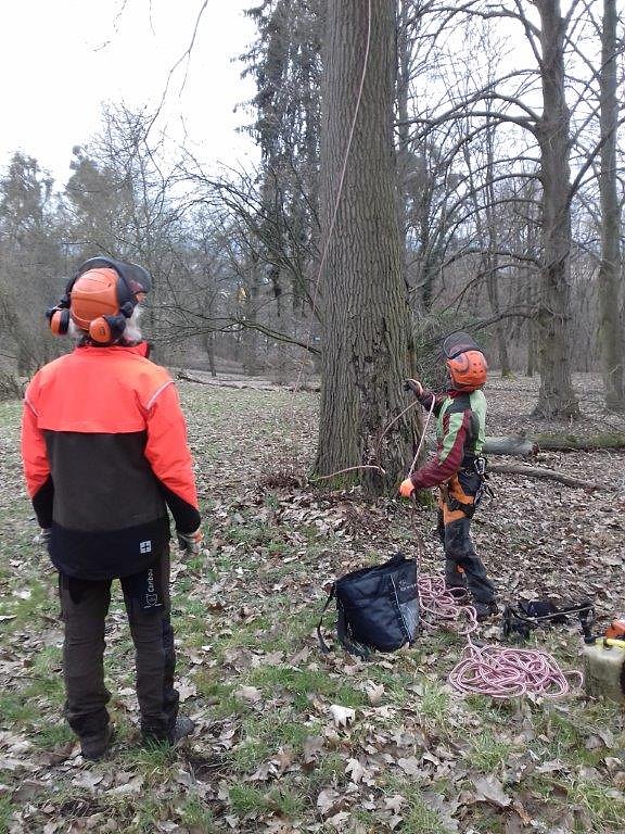 Auf die B&auml;ume - im Park Hohenrode