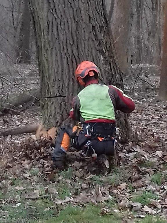 Auf die B&auml;ume - im Park Hohenrode