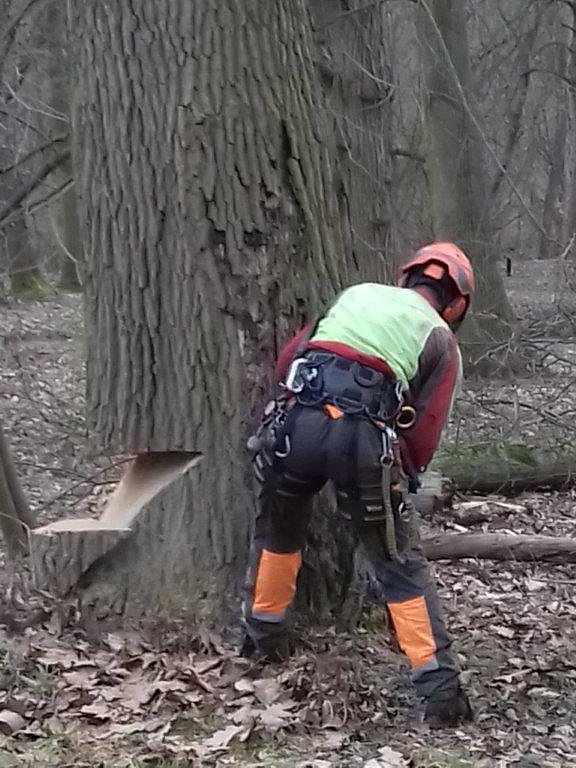 Auf die B&auml;ume - im Park Hohenrode