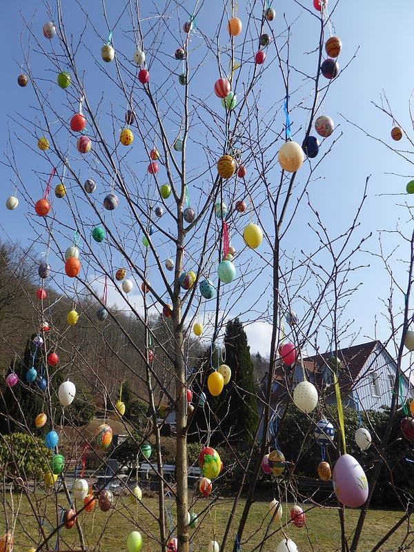 Osterbaum in S&uuml;lzhayn geschm&uuml;ckt