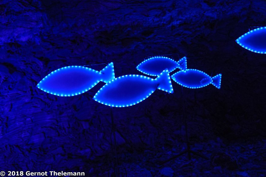 In einem ganz besonderen Licht