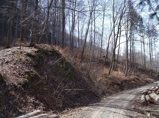 Waldinteressentengemeinschaft Obergebra