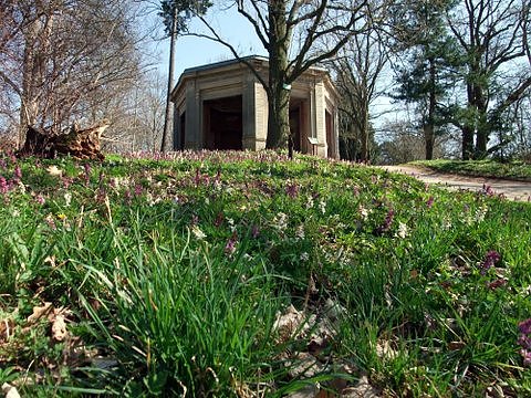 Fr&uuml;hling im Park Hohenrode