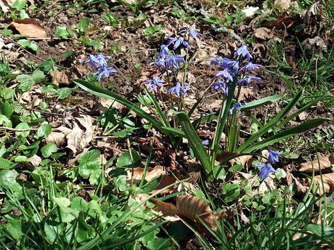 Fr&uuml;hling im Park Hohenrode