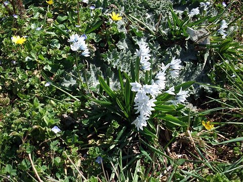 Fr&uuml;hling im Park Hohenrode