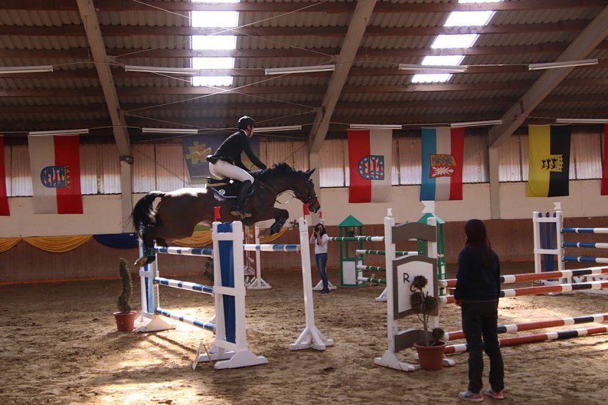 Hoffest und Reitturnier in Wollersleben