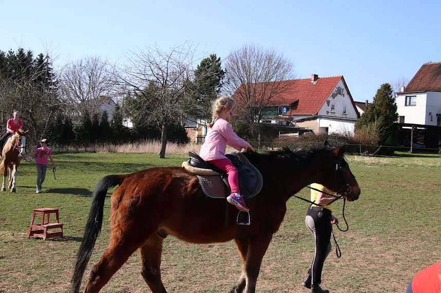 Hoffest und Reitturnier in Wollersleben