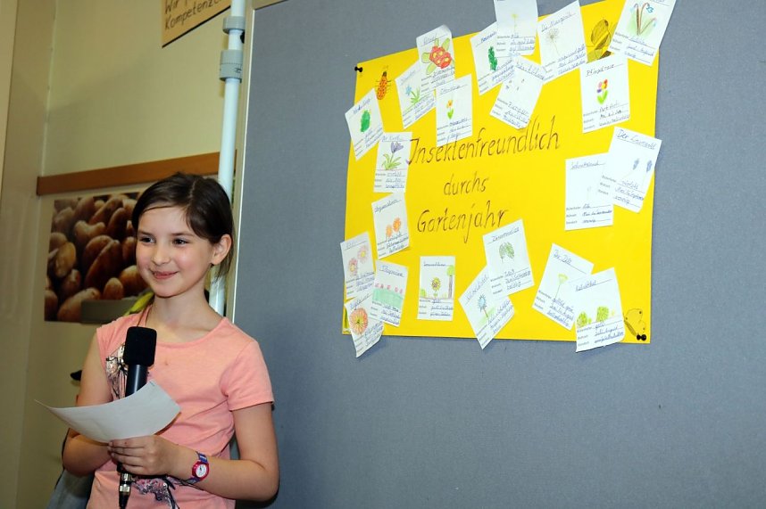 Grundschule will insektenfreundlicher werden