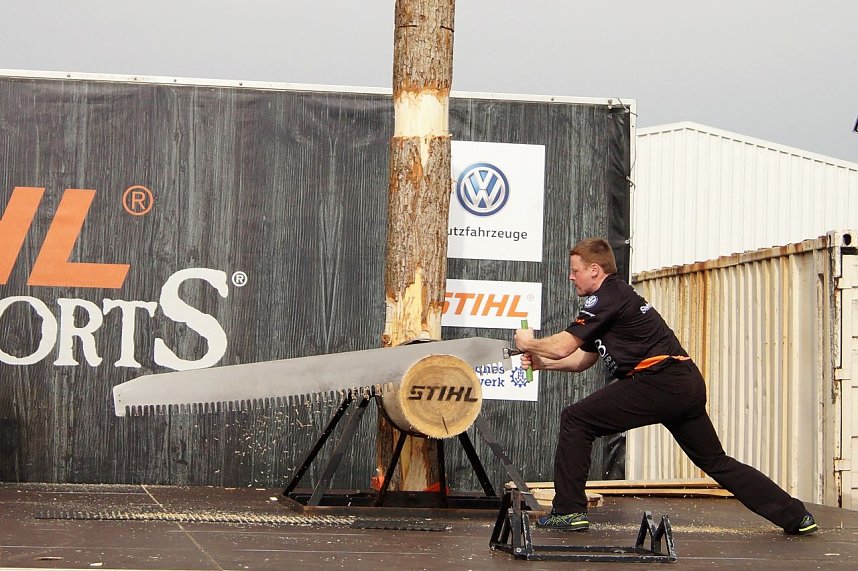 Sportholzf&auml;ller