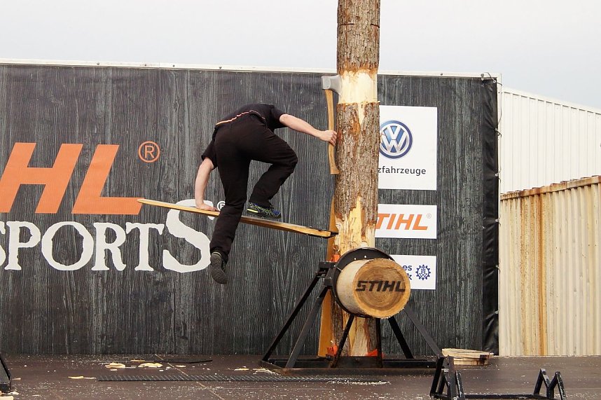 Sportholzf&auml;ller