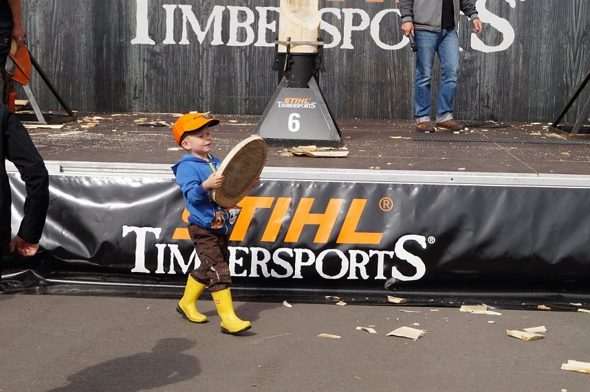 Sportholzf&auml;ller