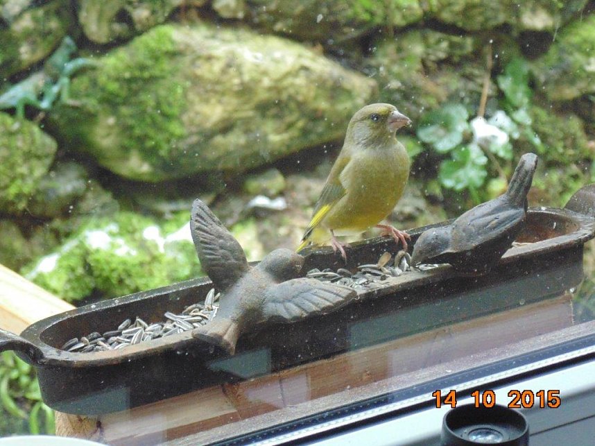 Mit dem Fotoapparat auf der Pirsch