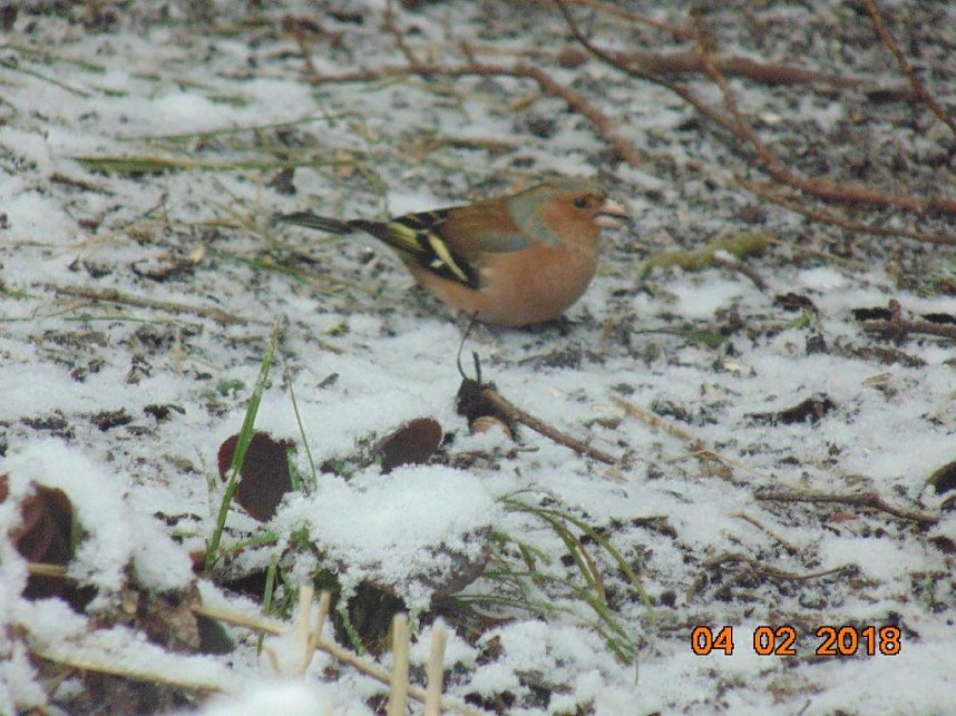 Mit dem Fotoapparat auf der Pirsch