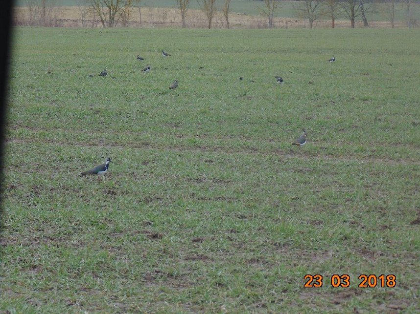 Mit dem Fotoapparat auf der Pirsch