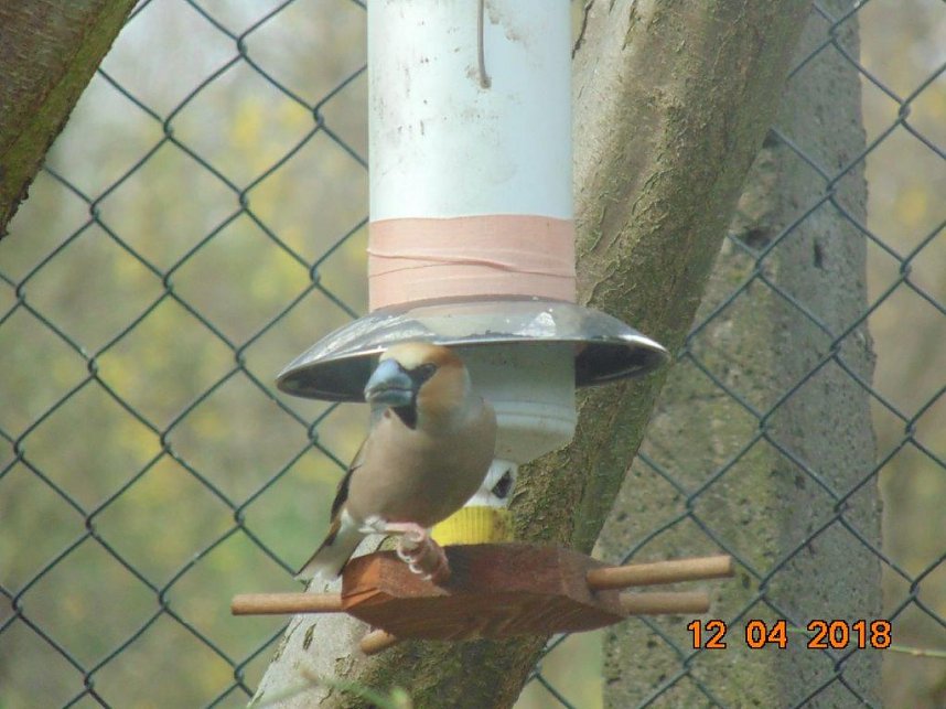 Mit dem Fotoapparat auf der Pirsch