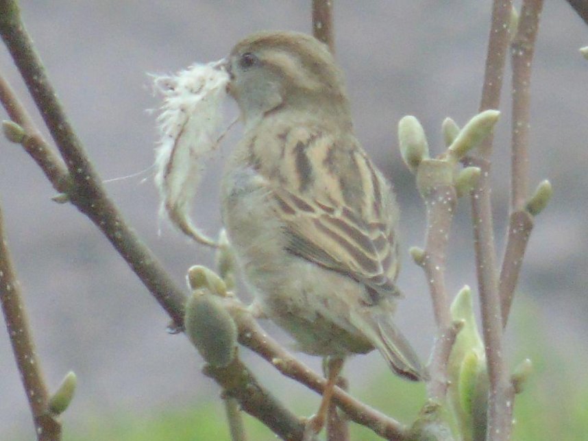 Mit dem Fotoapparat auf der Pirsch