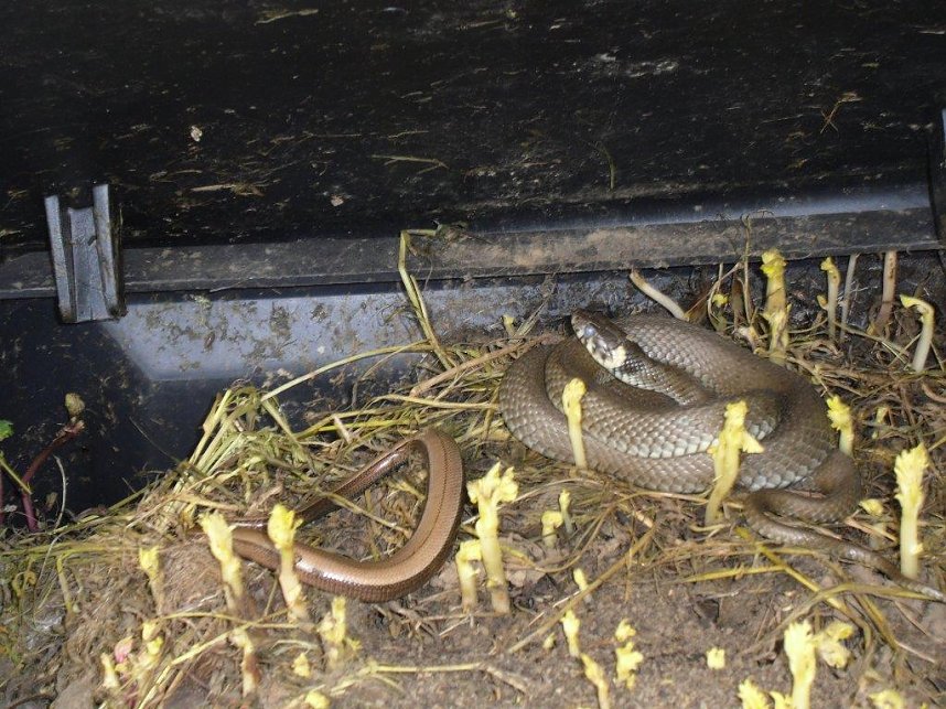 Mit dem Fotoapparat auf der Pirsch