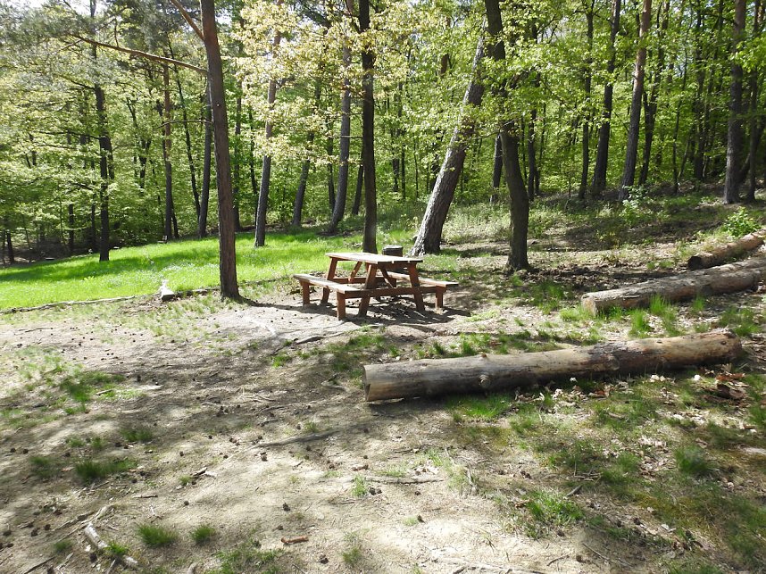 Kunstteich Ballenstedt