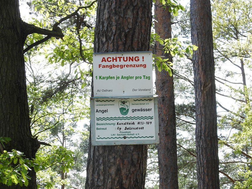 Kunstteich Ballenstedt