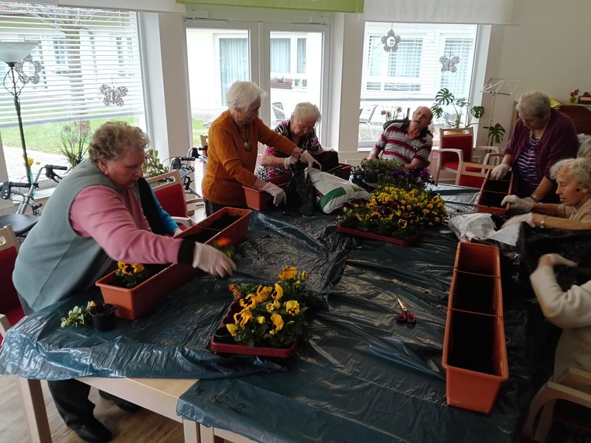 Der April im Sonnenhof