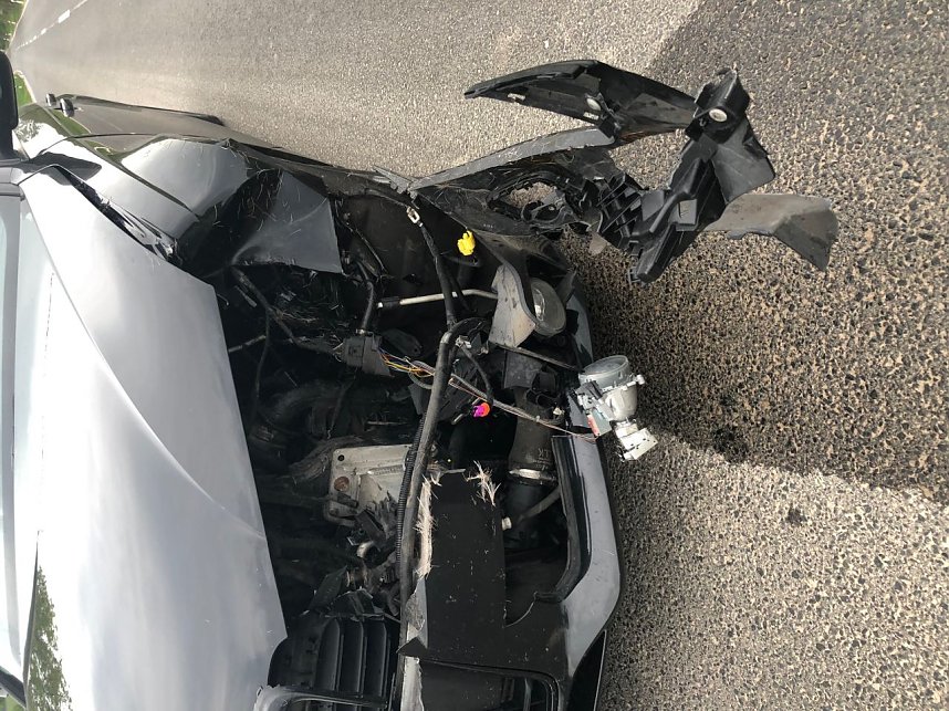 Wildunfall am Morgen