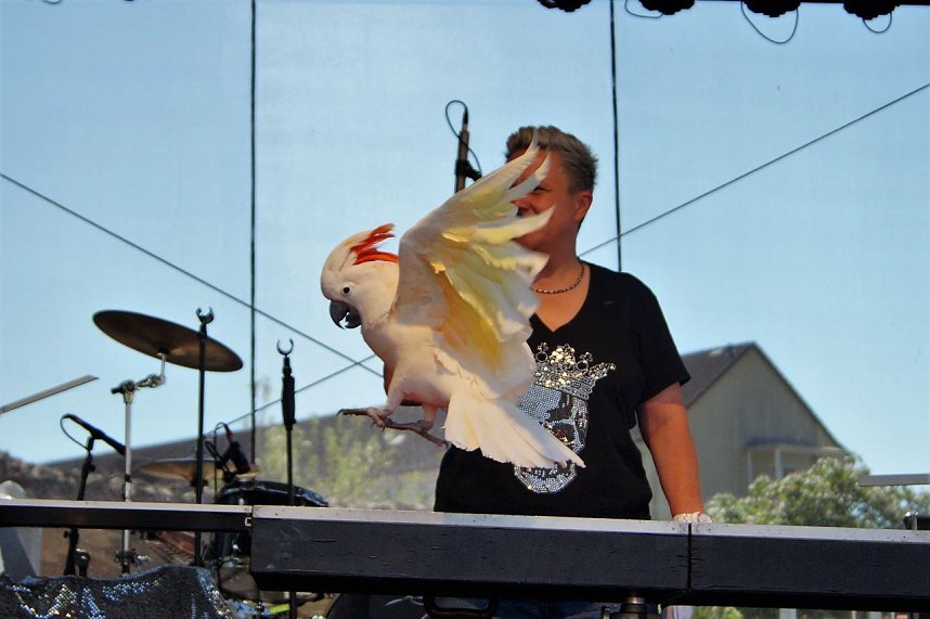 23. Autofr&uuml;hling