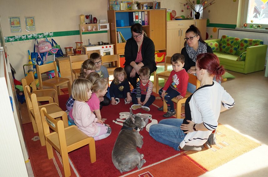 Kindergartenf&ouml;rderverein organisierte tolles Projekt