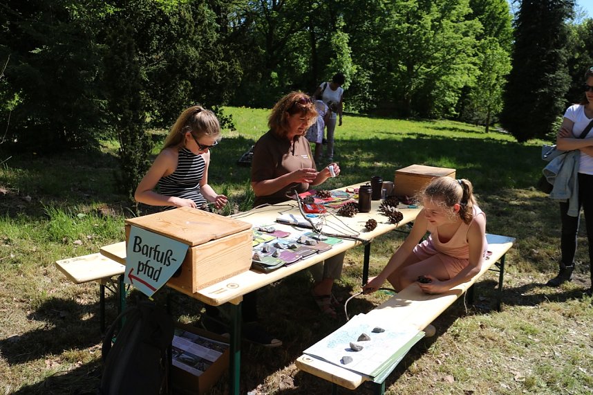 Parkfest in Hohenrode