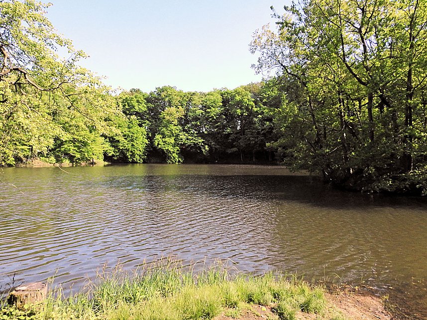 Unterwegs in Liebenrode