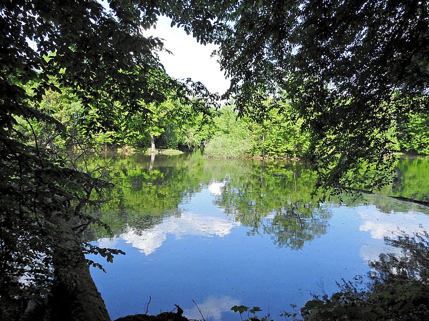 Unterwegs in Liebenrode