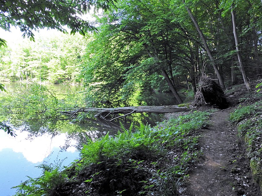 Unterwegs in Liebenrode