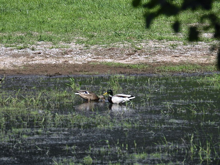 Unterwegs in Liebenrode