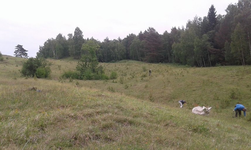 BUND-Einsatz 65: F&uuml;r Katzenpf&ouml;tchen und Sand-Veilchen