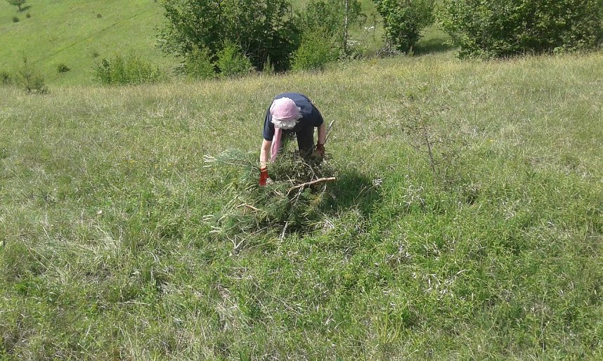 BUND-Einsatz 65: F&uuml;r Katzenpf&ouml;tchen und Sand-Veilchen
